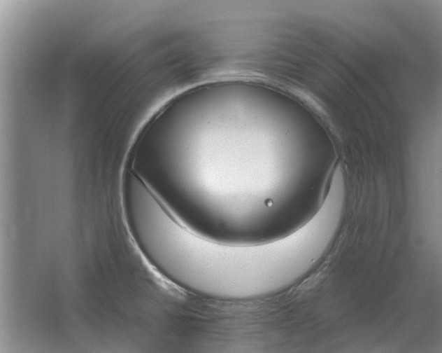 X0000062901430200601271702