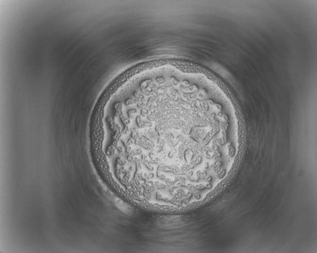 X0000062901431200601271702