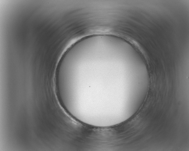 X0000062901432200601271702