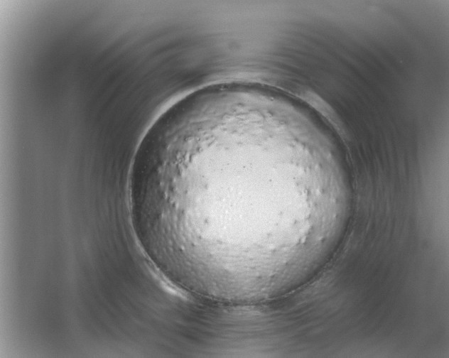 X0000062901436200601271702