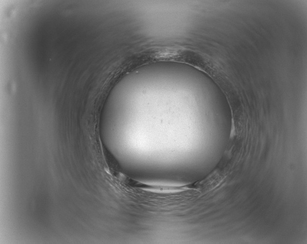 X0000062901441200601271701