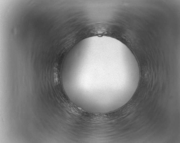 X0000062901442200601271701