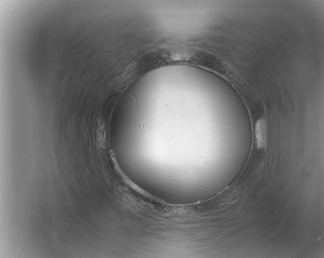 X0000062901443200601271701