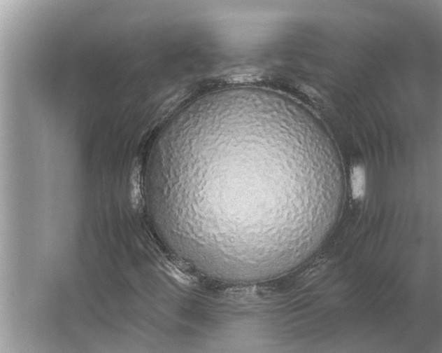 X0000062901444200601271701