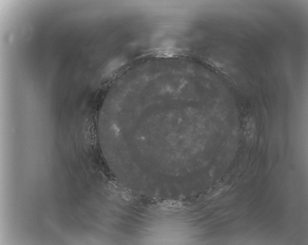 X0000062901446200601271701