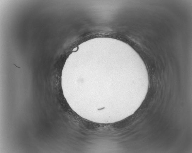 X0000062901447200601271701