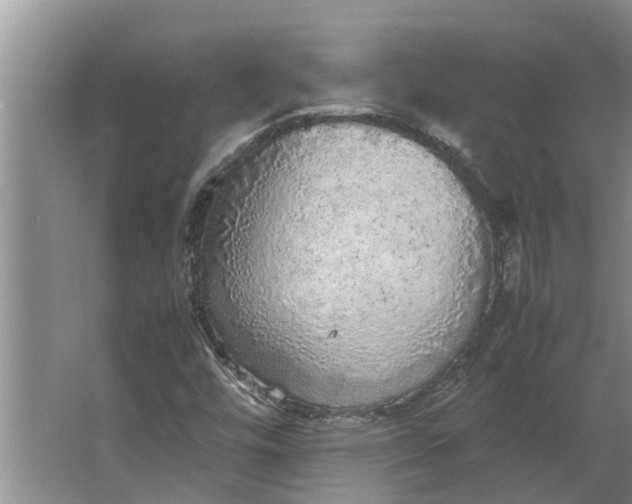 X0000062901448200601271701