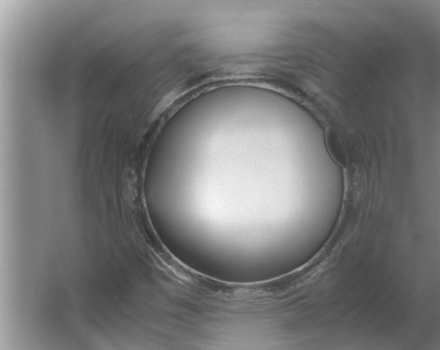 X0000062901449200601271701