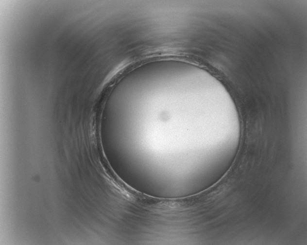 X0000062901450200601271701