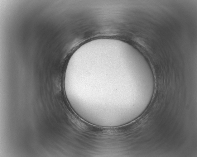 X0000062901451200601271701