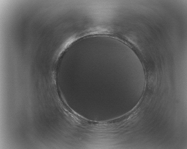 X0000062901455200601271701