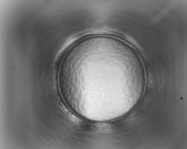 X0000062901456200601271701