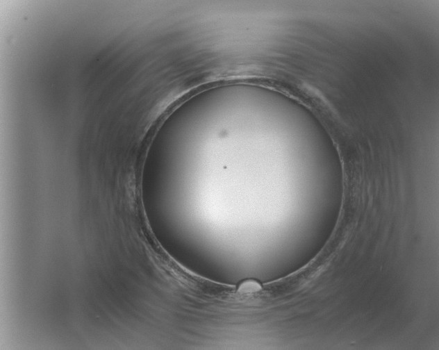 X0000062901457200601271701