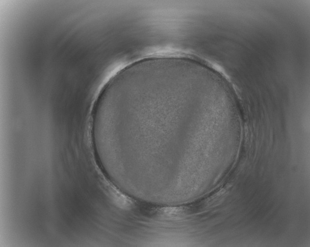 X0000062901463200601271701