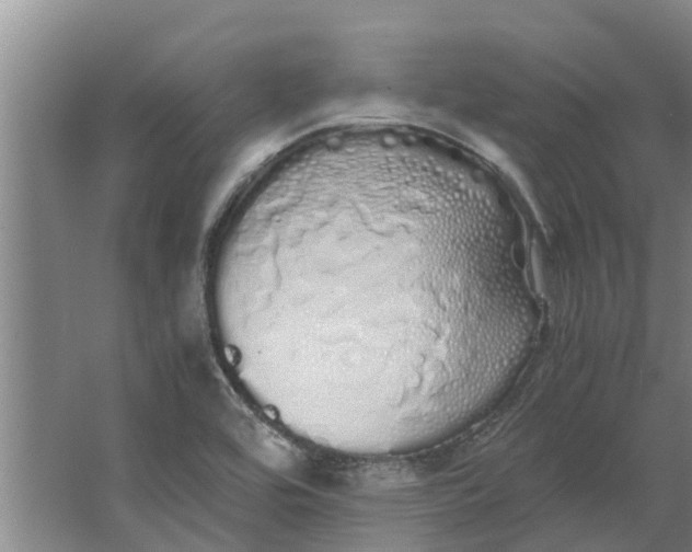 X0000062901464200601271701