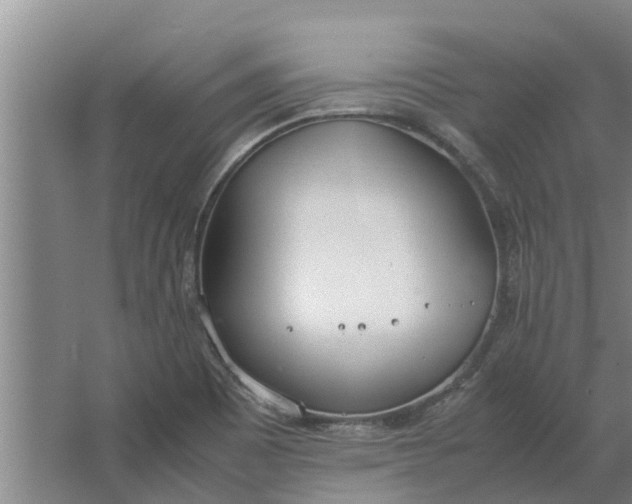 X0000062901465200601271701