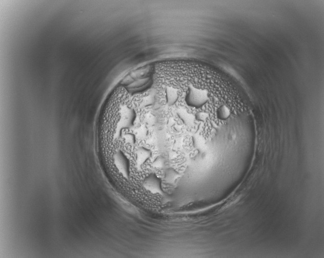 X0000062901467200601271701