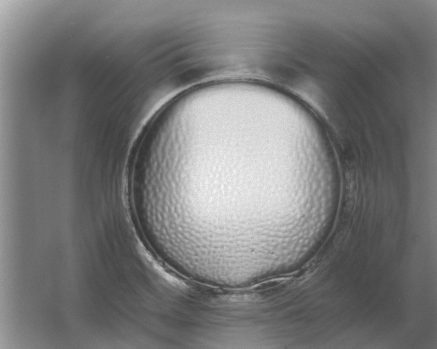 X0000062901468200601271701