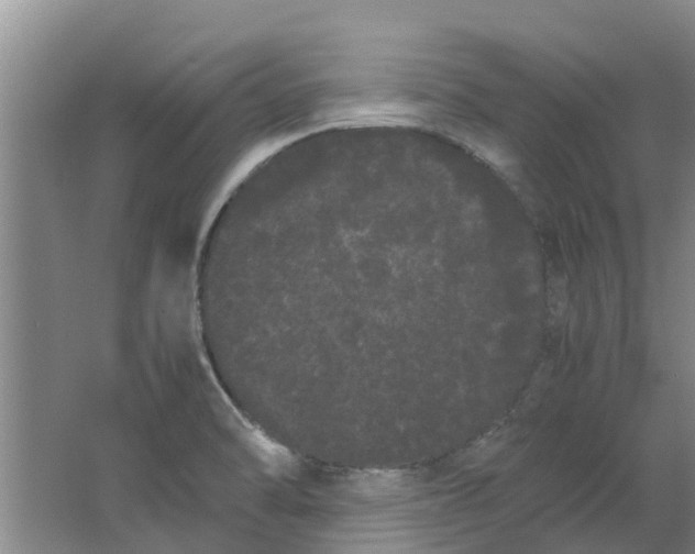 X0000062901470200601271701