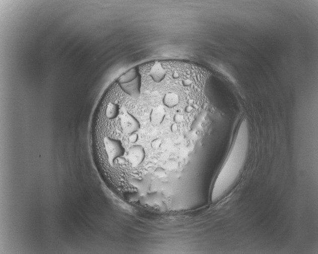 X0000062901471200601271701