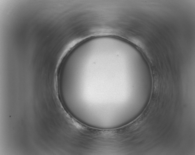 X0000062901472200601271701