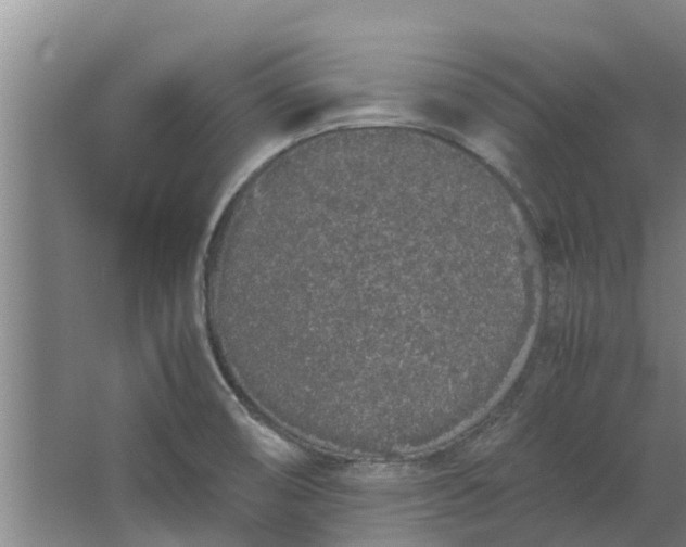 X0000062901474200601271701