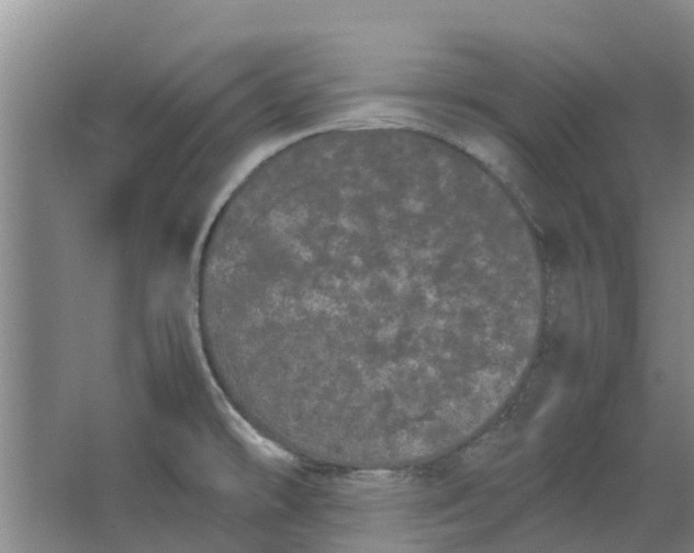 X0000062901478200601271701