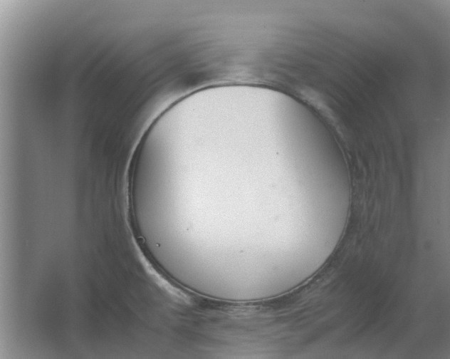 X0000062901479200601271701