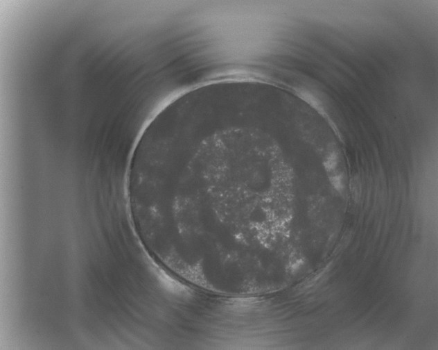 X0000062901482200601271700