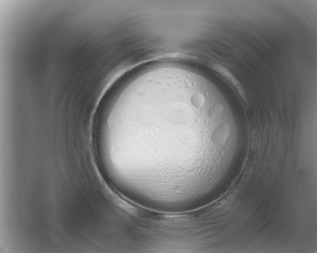 X0000062901483200601271700