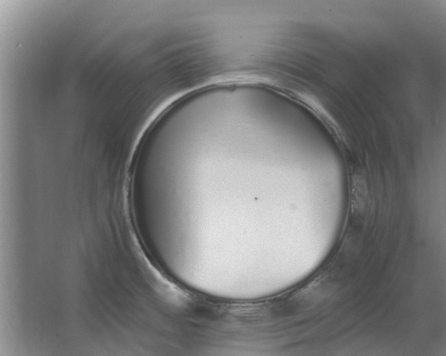 X0000062901484200601271700