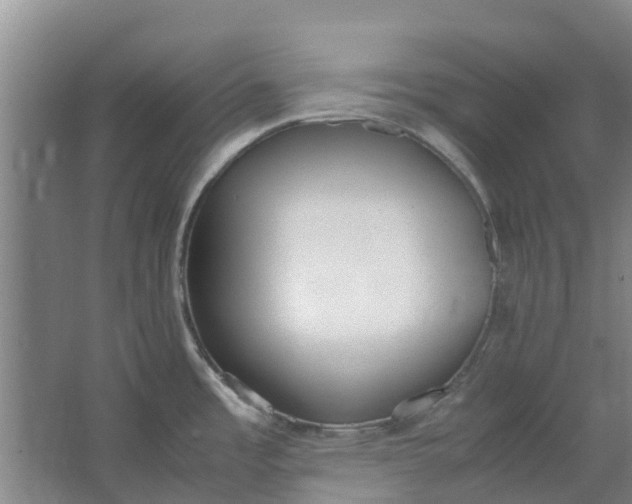 X0000062901485200601271700