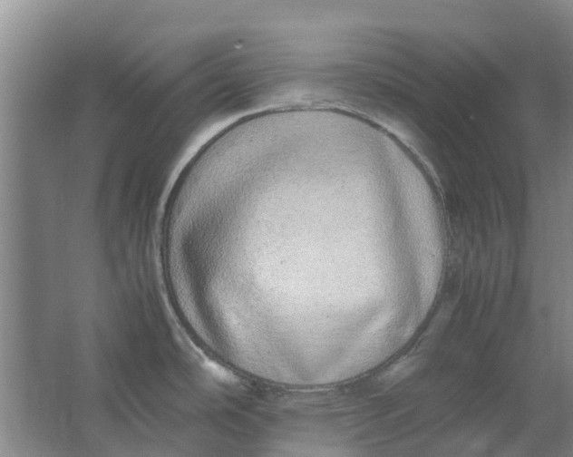 X0000062901486200601271700