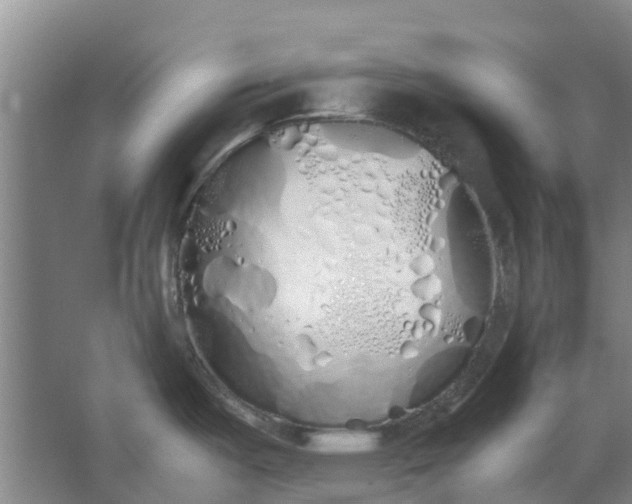 X0000062901487200601271700