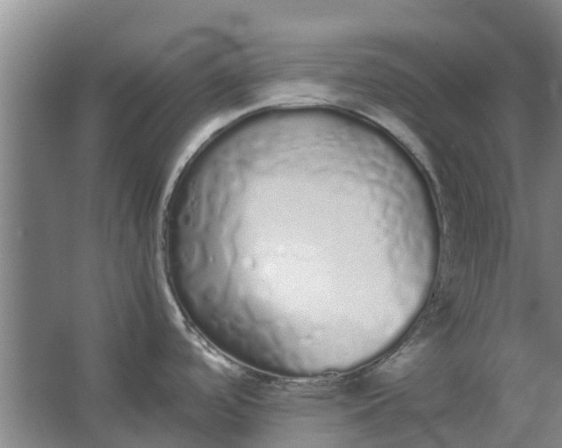 X0000062901488200601271700