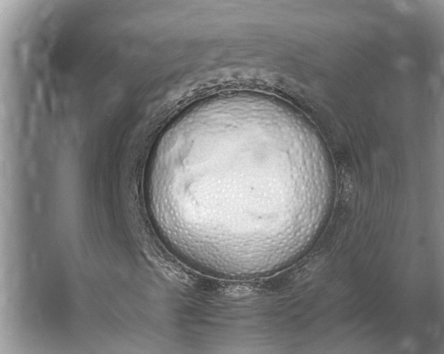 X0000062901489200601271700