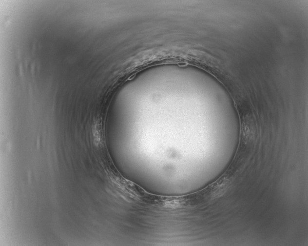 X0000062901490200601271700