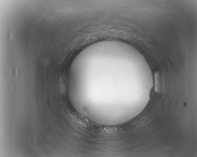 X0000062901491200601271700