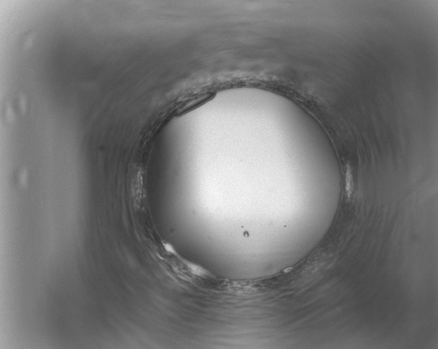 X0000062901492200601271700