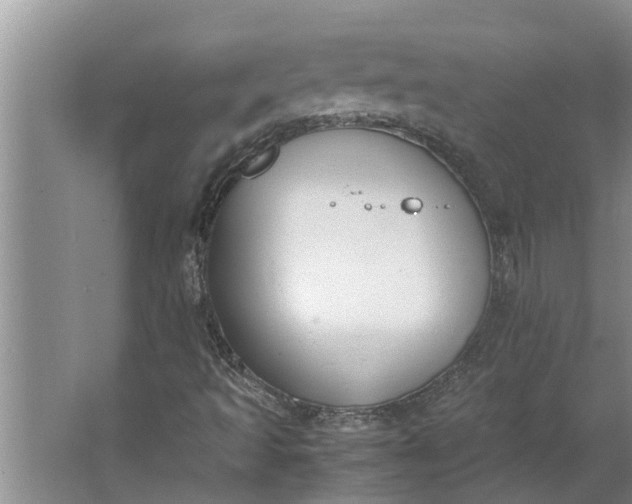 X0000062901493200601271700