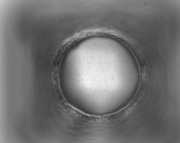 X0000062901494200601271700