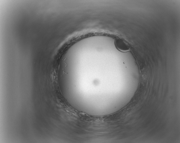 X0000062901495200601271700