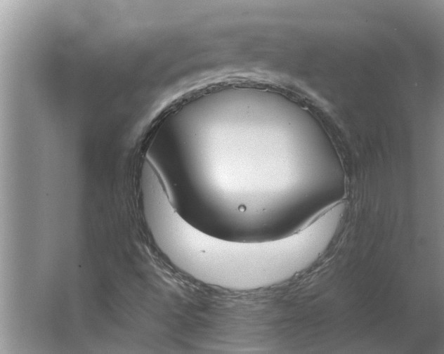 X0000062901496200601271700