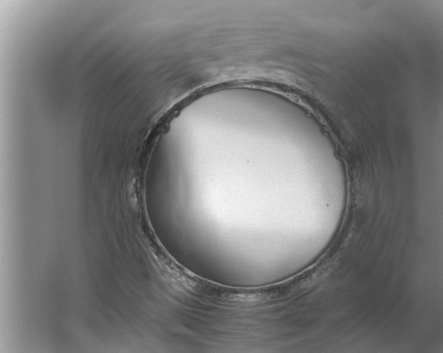 X0000062901497200601271700