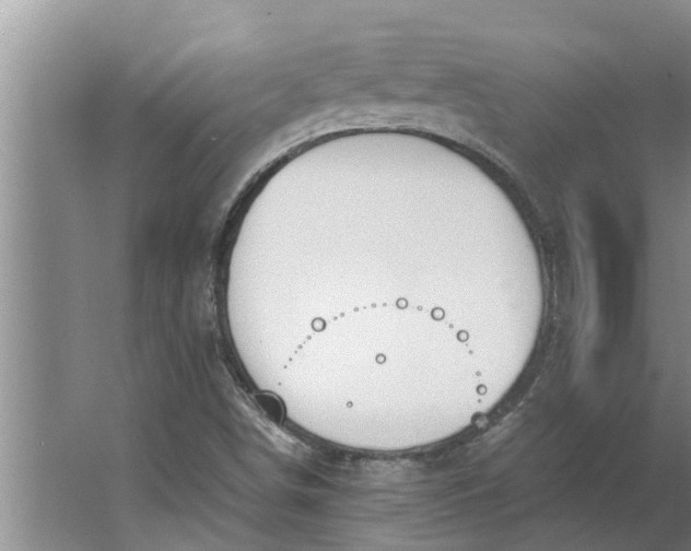 X0000062901498200601271700