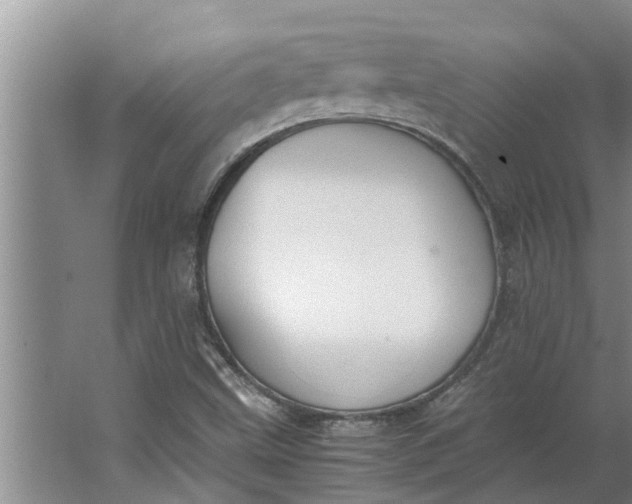 X0000062901499200601271700