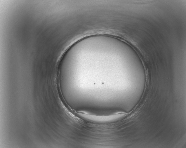 X0000062901500200601271700