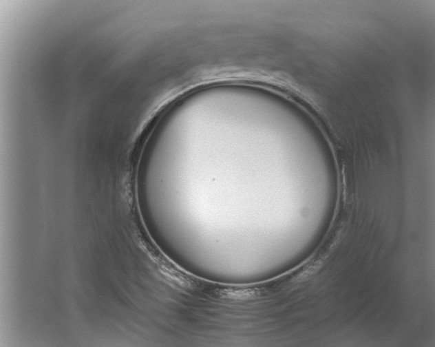 X0000062901501200601271700