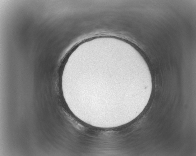 X0000062901502200601271700