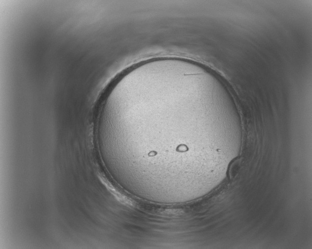 X0000062901503200601271700